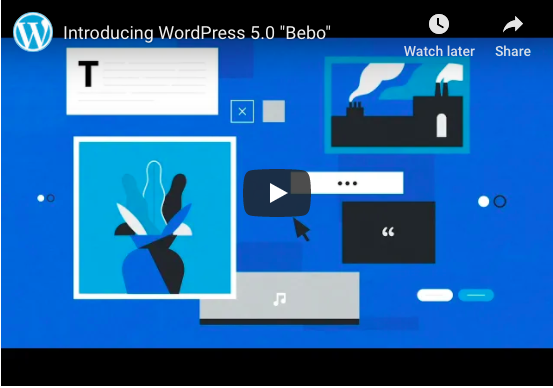 Big WordPress 5.0 Update and the New Divi Builder